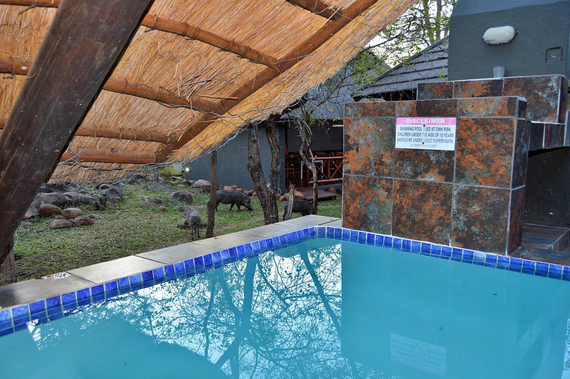 Royal Marlothi Kruger Safari Lodge&Spa Marloth Park Eksteriør billede