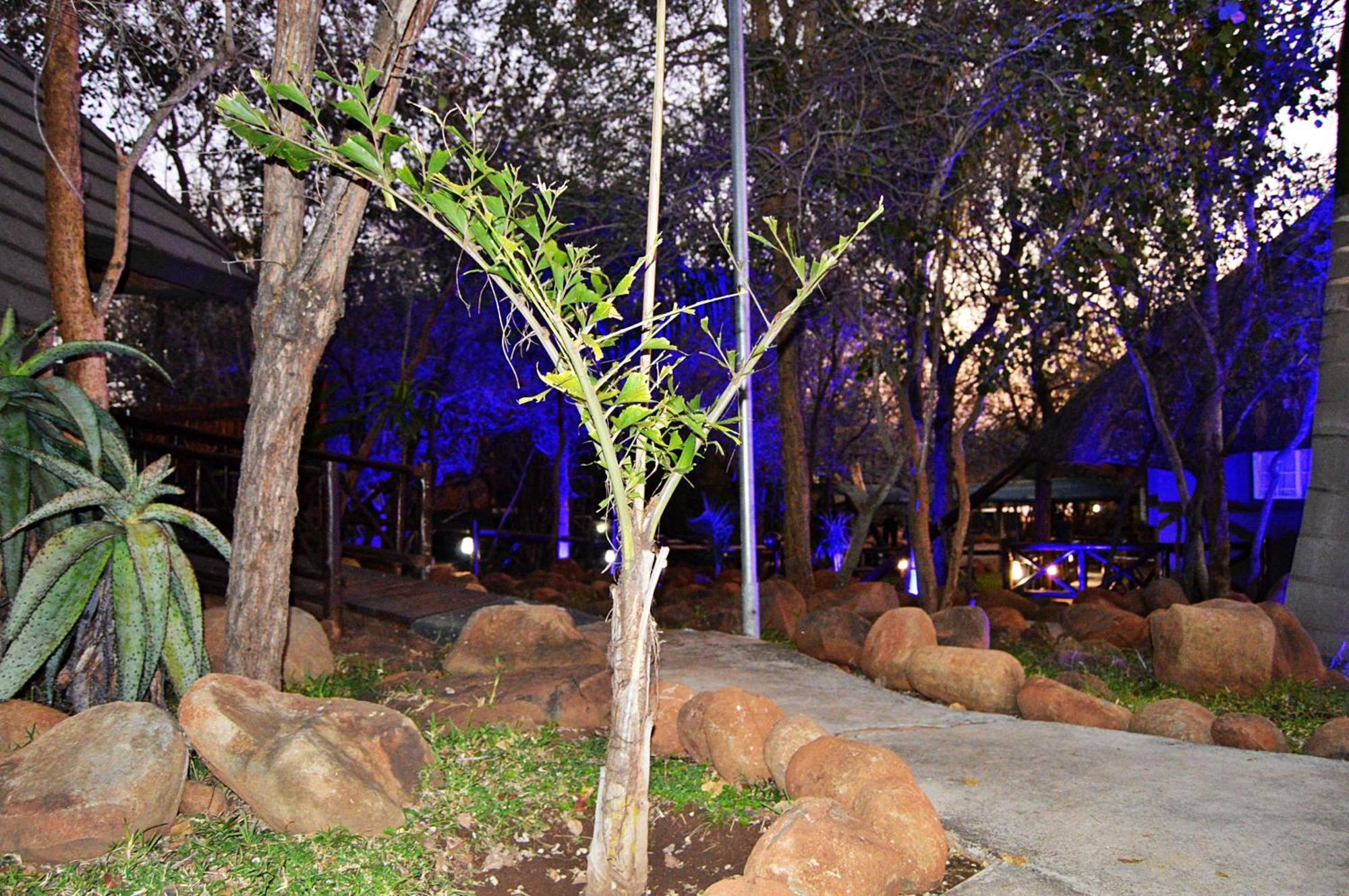 Royal Marlothi Kruger Safari Lodge&Spa Marloth Park Eksteriør billede